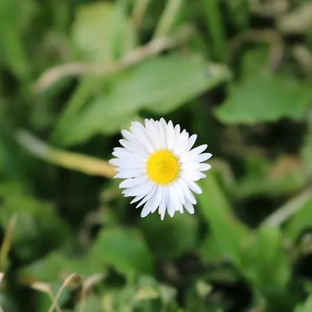 Летний дом Il Fienile Nella Roccia