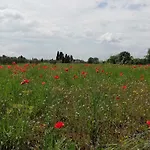 Il Fienile Nella Roccia Летний дом Казоле-д'Эльса